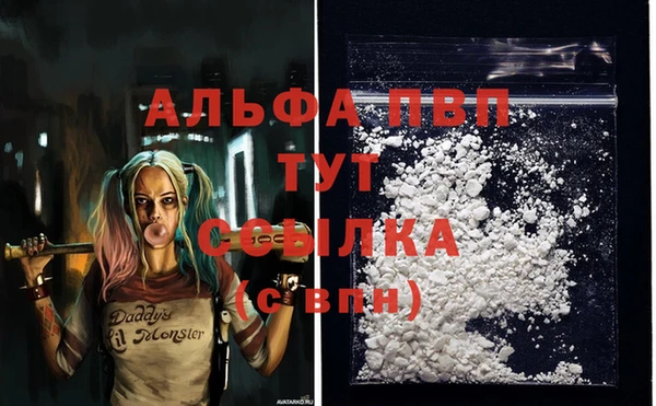 соль ск Коряжма