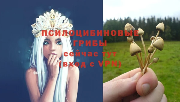 MDMA Premium VHQ Костерёво