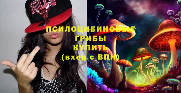 соль ск Коряжма