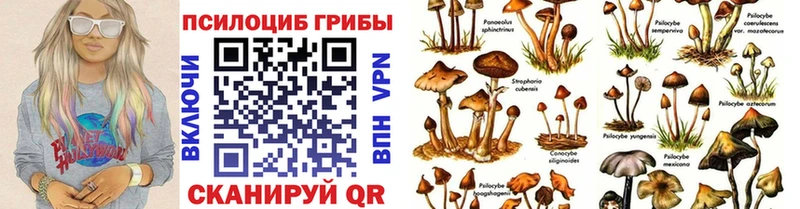 Псилоцибиновые грибы ЛСД  сколько стоит  Юхнов 